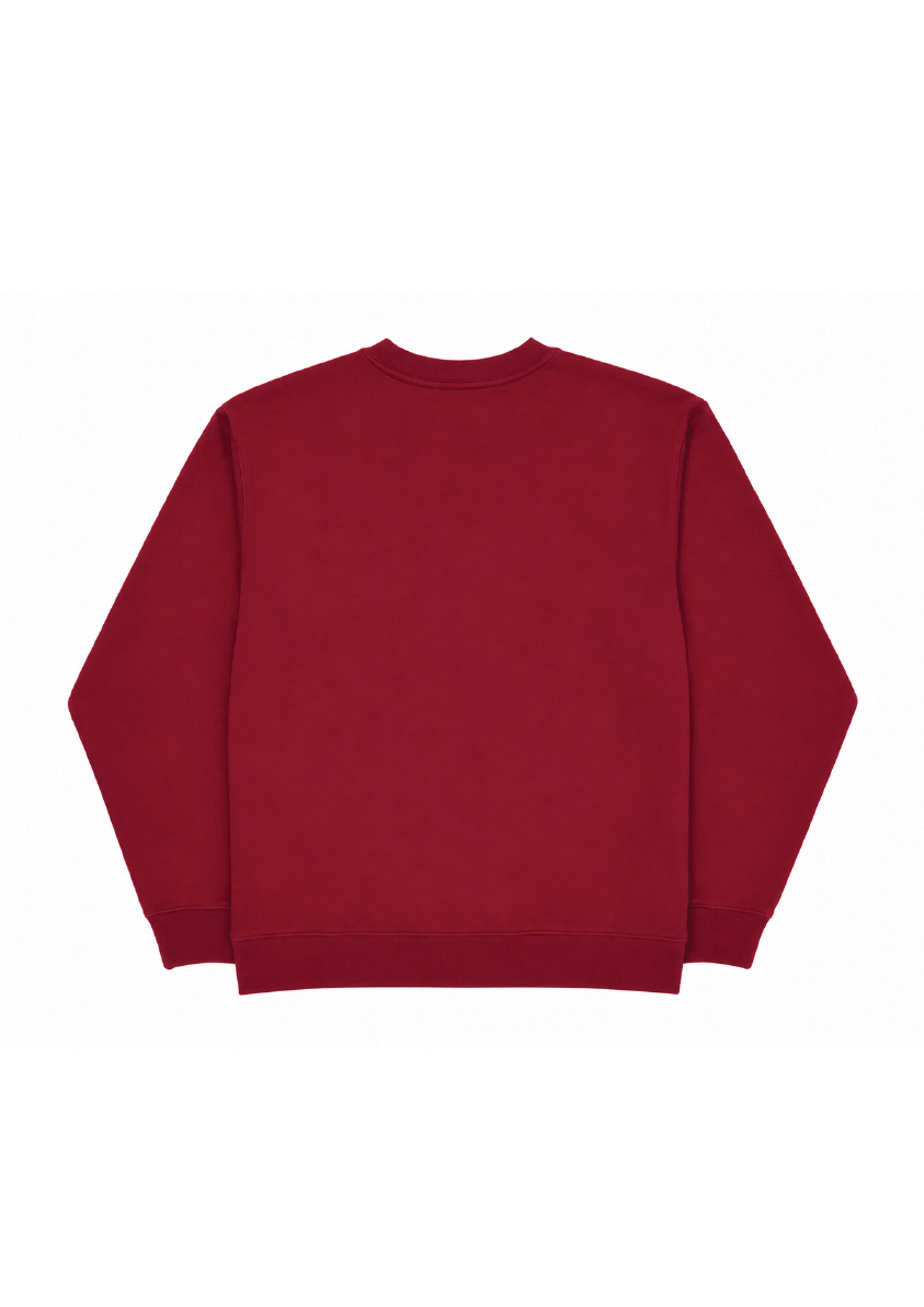Sudadera Sport Attitude